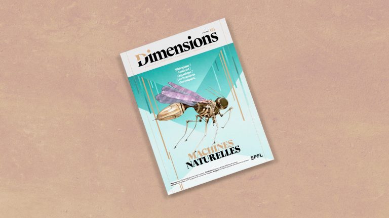 Couverture du magazine n°3 de Dimensions