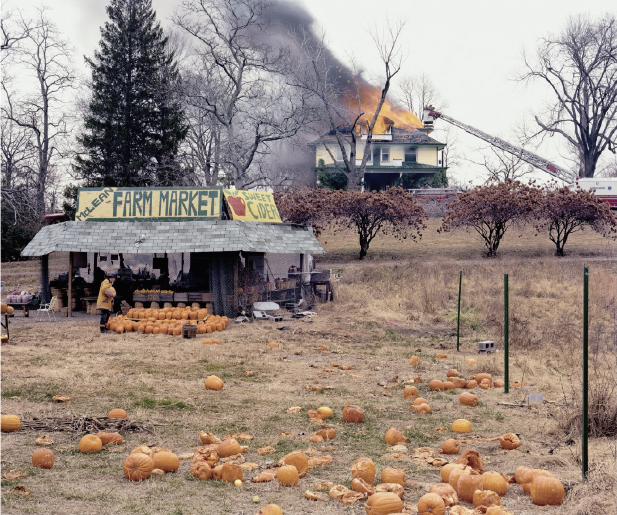 Joel Sternfeld, The Present Environmental Predicament, from the series American Prospects, 1987