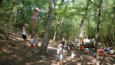 Des enfants dans une forêt durant un camp organisé par l'UNIL et l'EPFL