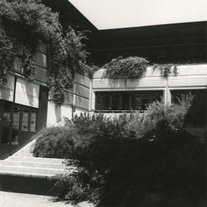 Photographie en noir et blanc d'une cour avec gradins se situant à côté d'un auditoire. On y voit une végétation abondante.