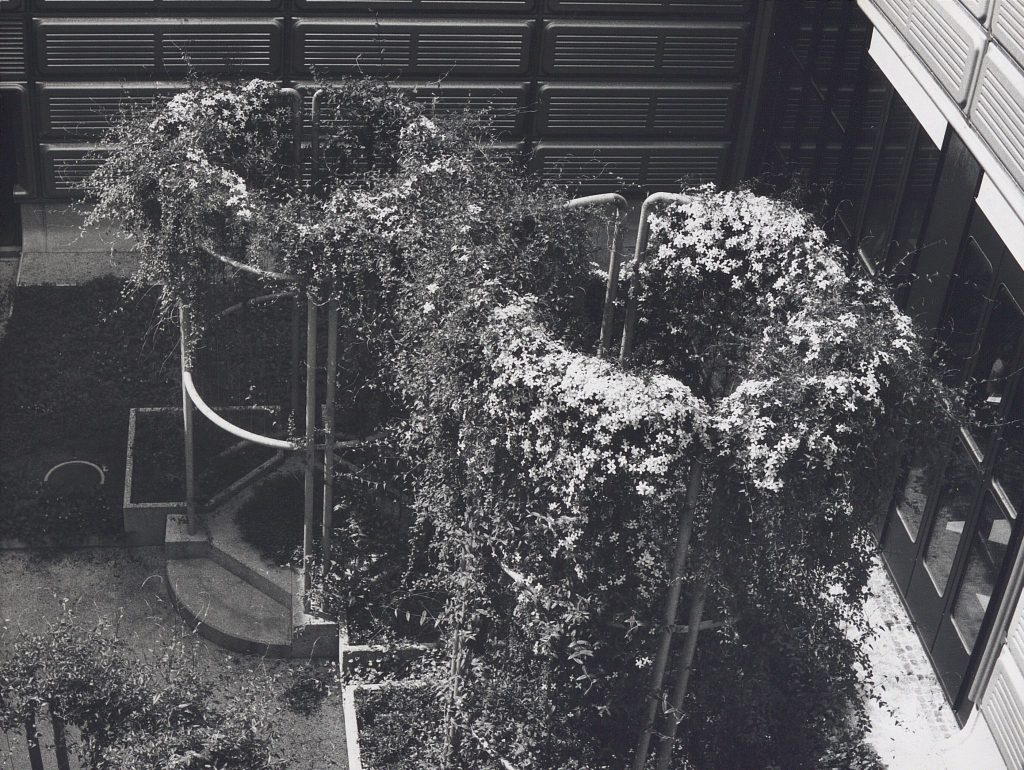 Photographie en noir et blanc de deux structures métalliques cylindriques. Elles servent de tuteurs pour des plantes grimpantes.