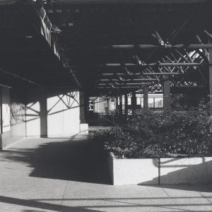 Photographie en noir et blanc d’un passage couvert sur les terrasses où se trouve un bac rectangulaire en béton qui contient des plantes.