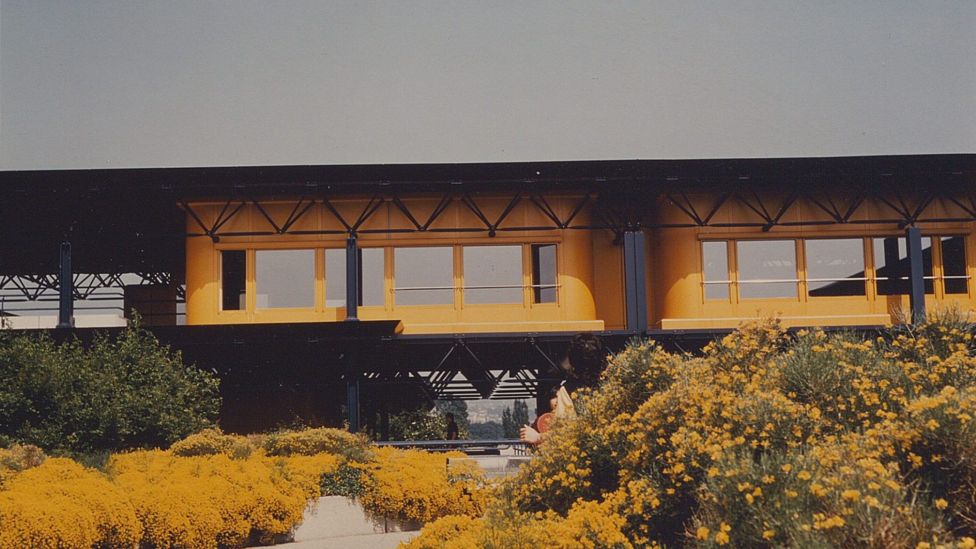 Photographie des terrasses de l'EPFL. Les fleurs orange débordent abondamment des bacs et leur couleur se confond avec celle de la façade.
