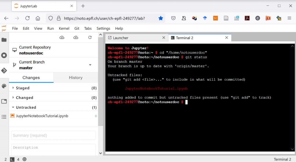 Using git from the command line (main window) or from the git interface (left pane) in JupyterLab.
