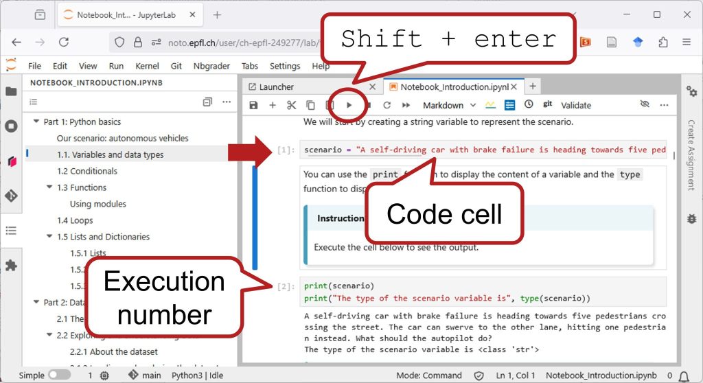 Execute the code by running a code cell in a notebook
