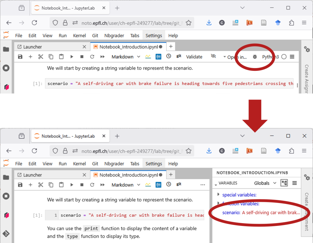 Access to the Python debugged