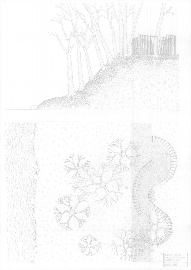 Final Review Year 1 Alice Epfl