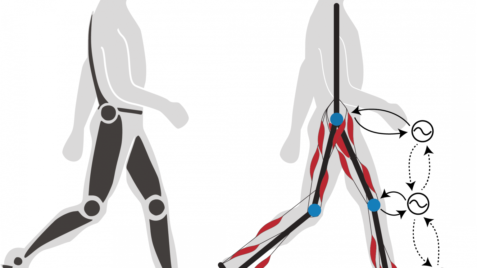 Biorobotics Laboratory ‐ EPFL