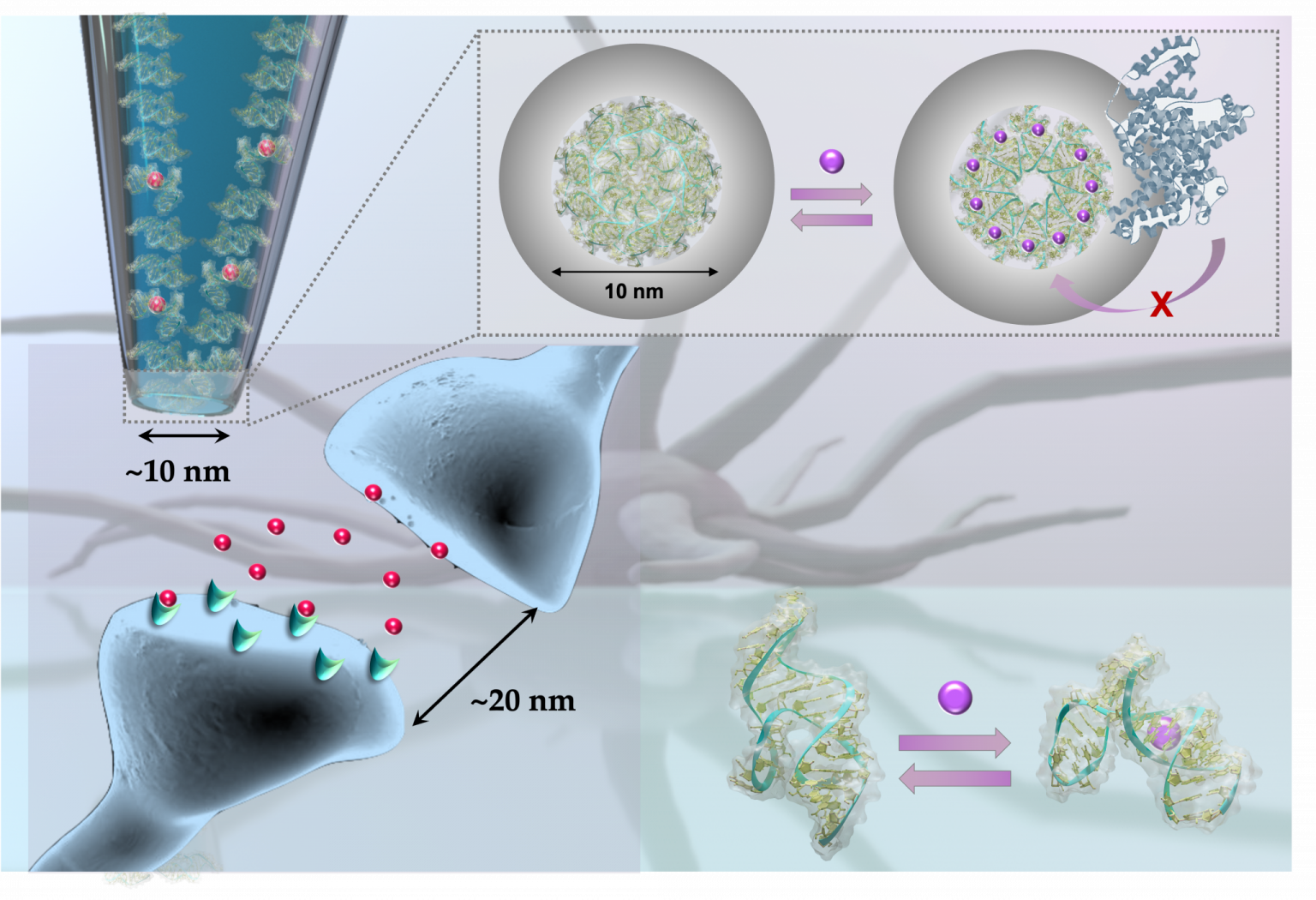 Aptamer-Modified Nanopipettes ‒ CHEMINA ‐ EPFL