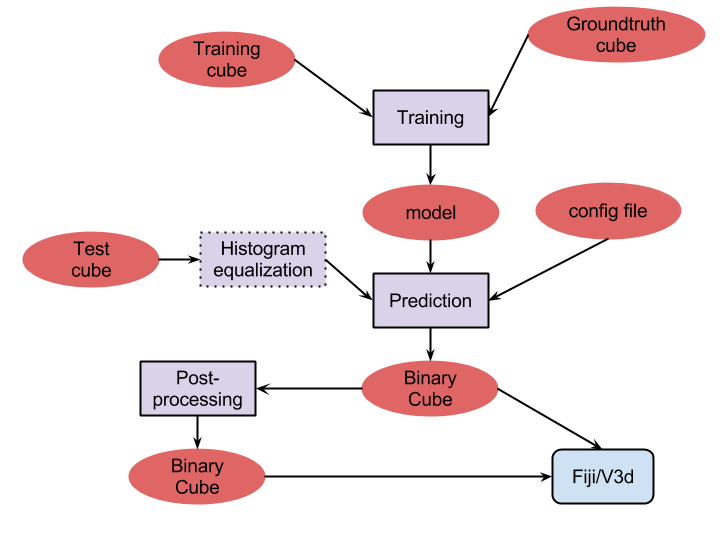 EM segmentation diagram