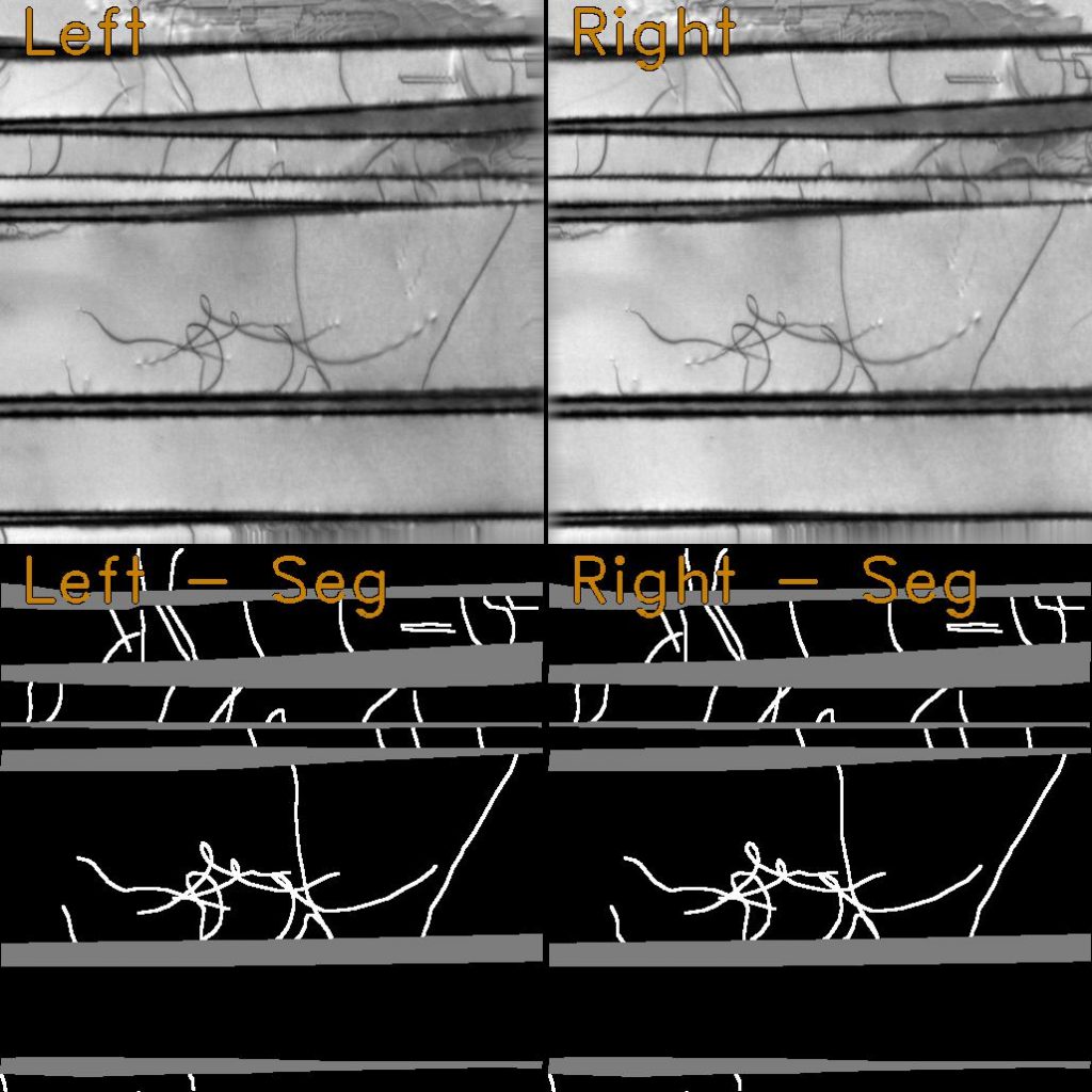 An example frame: stereo microscope images and the corresponding segmentation labels.