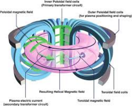 toroidal fusion reactor