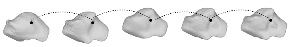 Five instances of Liver extracted from MRI data. The black dot indicates a pseudo key point. 