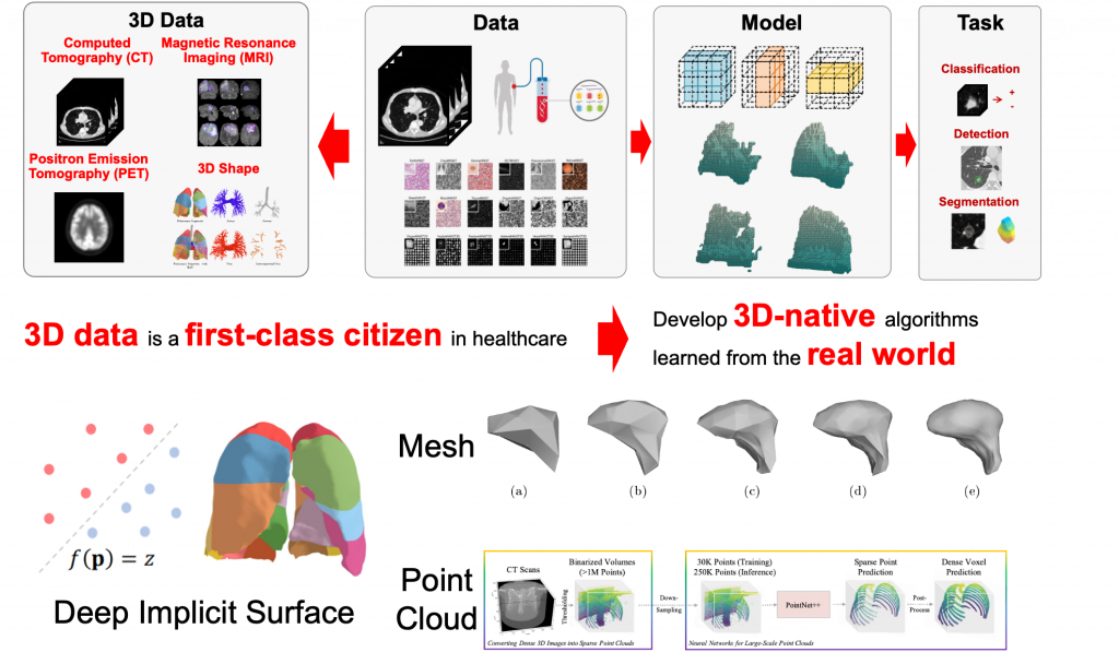 Examples of 3D Medical Image Analysis beyond Voxels