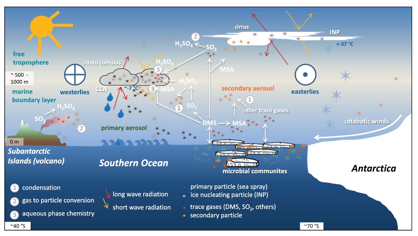 Figure 2 from Schmale et al. (2019)