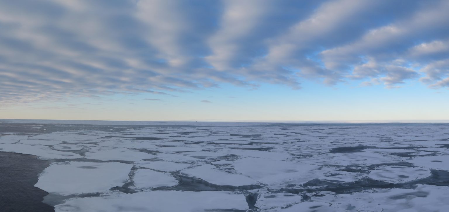 Stratocumuli over the Arctic marginal ice zone in September 2018