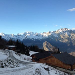 First lab retreat in La Tzoumaz (Jan 11-13 2015) | © EPFL