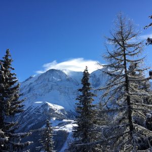 4th lab retreat in Les Houches (January 10-12 2017) | © EPFL