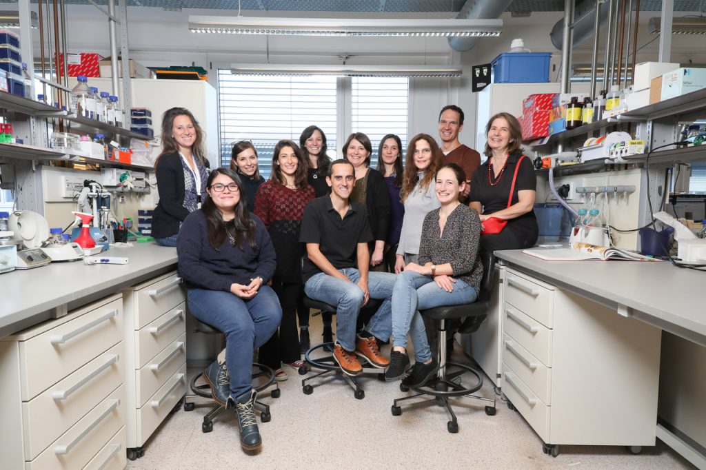 The lab in November 2018 | © EPFL