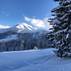 6th lab retreat in Saint-Gervais-les-Bains | © EPFL