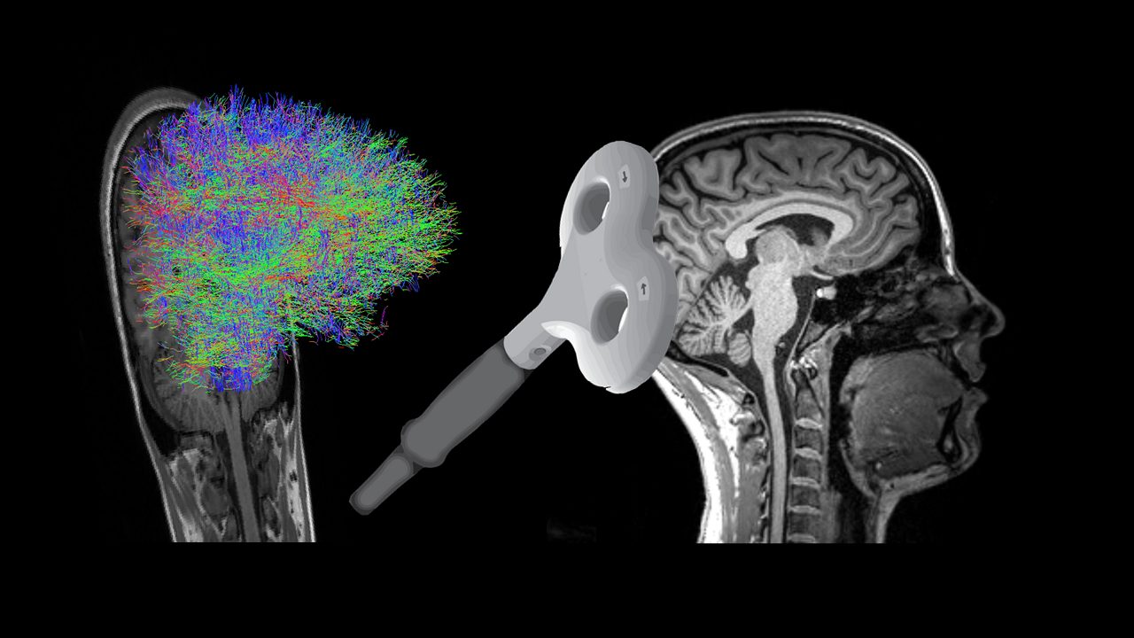 Boghandel fraktion Reservere Hummel Lab ‐ EPFL