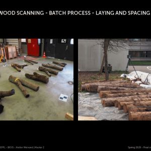 wood-scanning