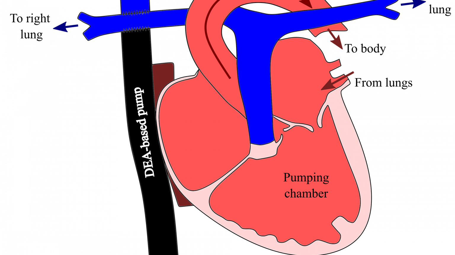 Source : https://mediatheque.epfl.ch