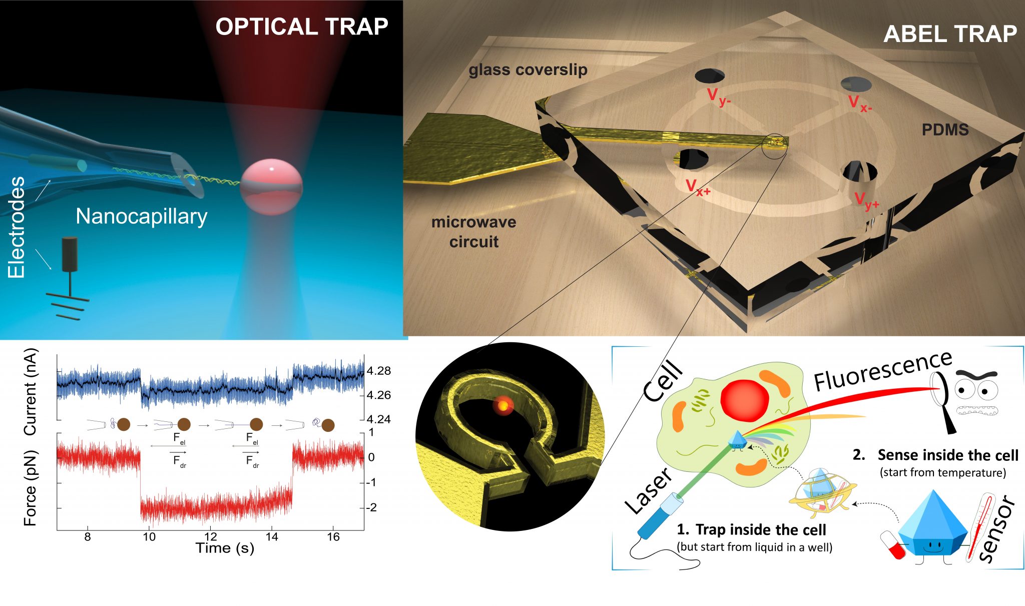 Singlemolecule manipulation ‒ LBEN ‐ EPFL