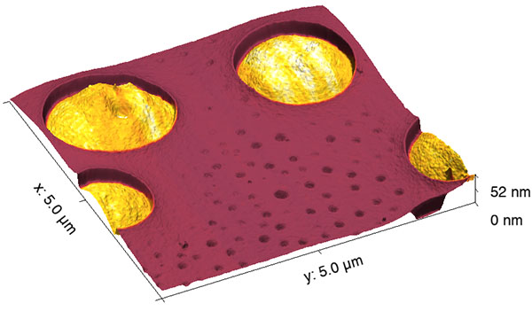 AFM scan of polymer blend