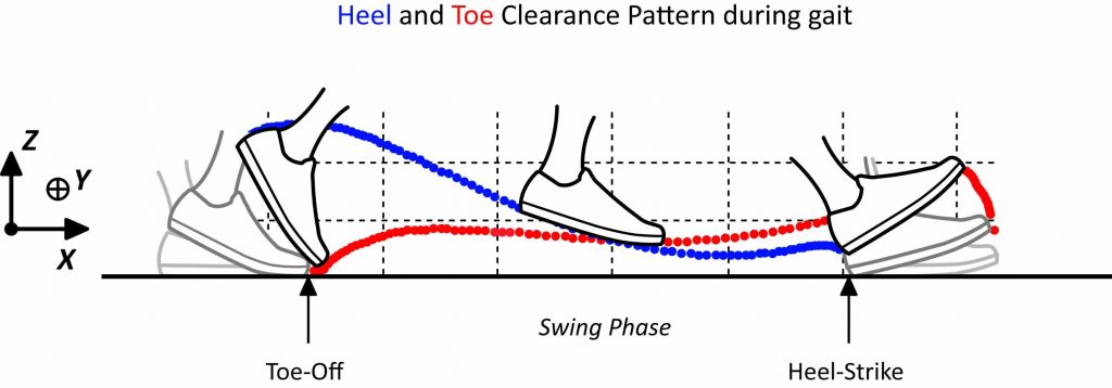 Heel and Toe Clearance Pattern during gait in Lausanne Cohorte of older adults project