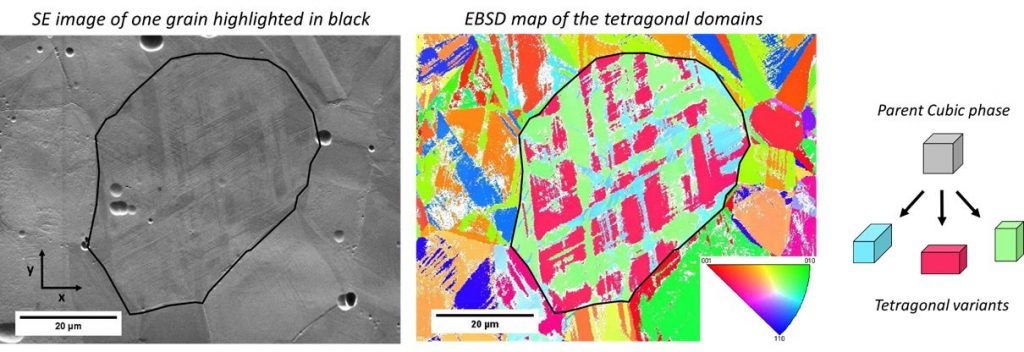 Image MEB et carte EBSD d'un échantillon de référence