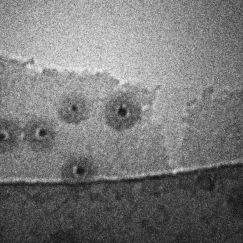 Micrograph of core/shell particles recorded with a pulsed electron beam
