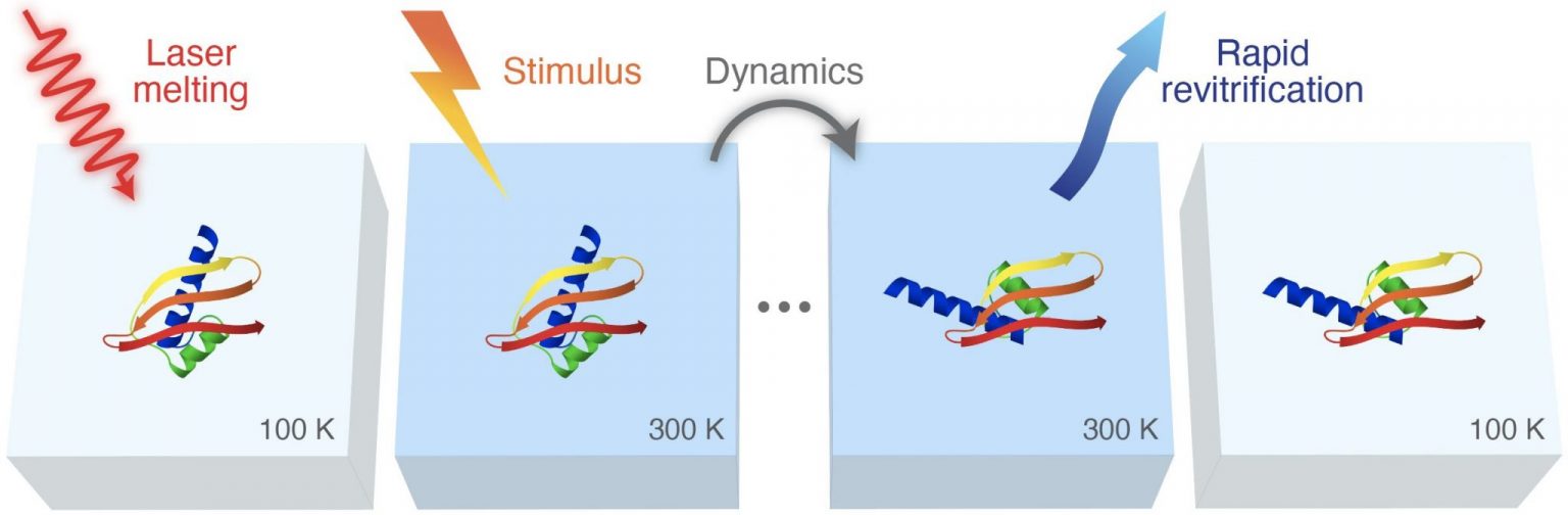 Microsecond Time-Resolved Cryo-EM ‒ LND ‐ EPFL