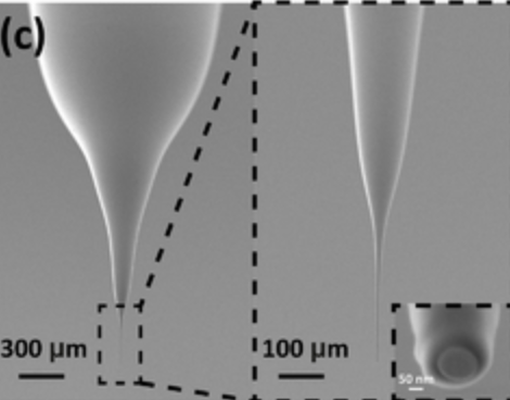 New Paper Published
