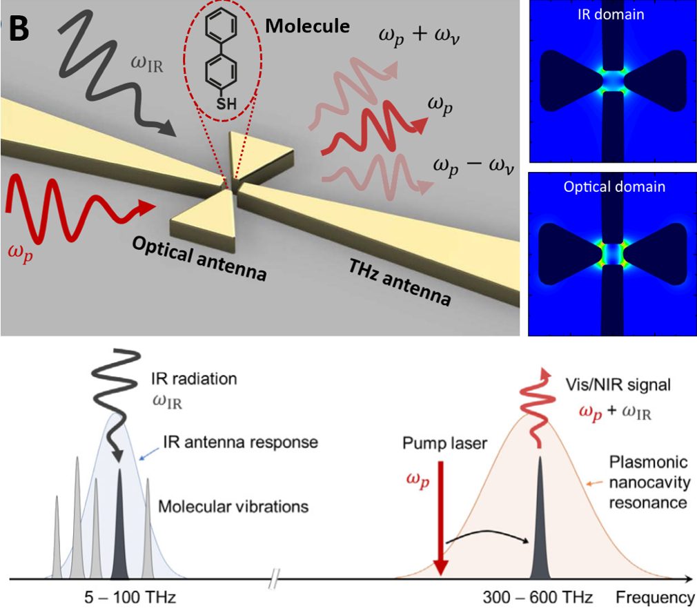Optomechanical frequency upconversion in nanocavities ‒ LQNO ‐ EPFL