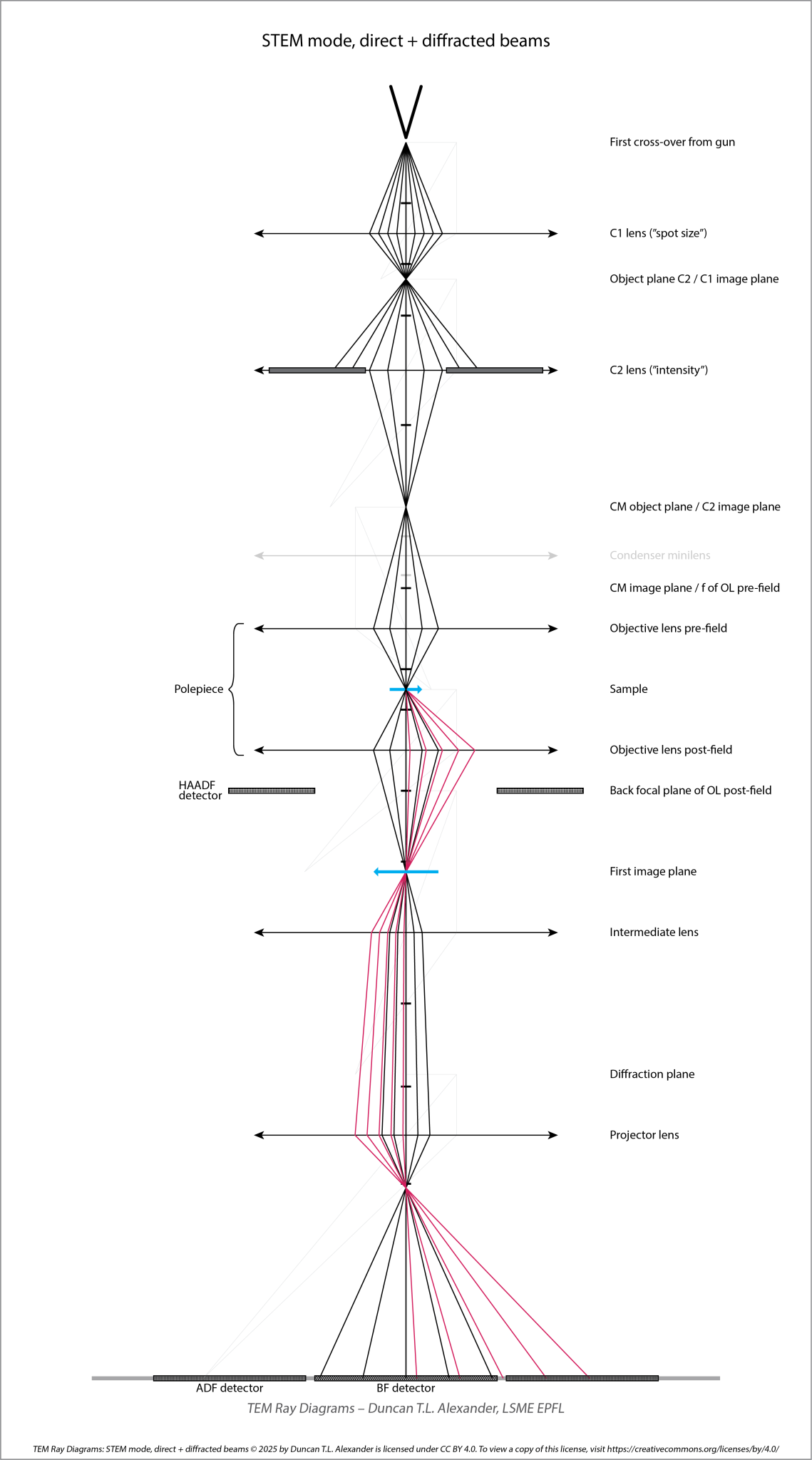 STEM mode, with direct beam and one diffracted beam – V1.0 ‒ LSME ‐ EPFL