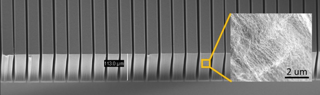 Carbon nanotube array on the current collector