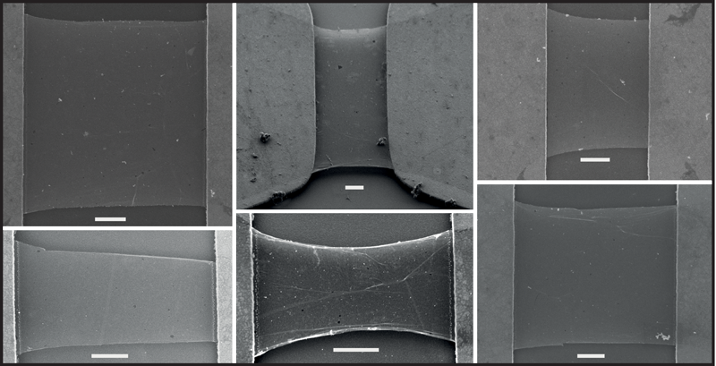 Membranes fabricated