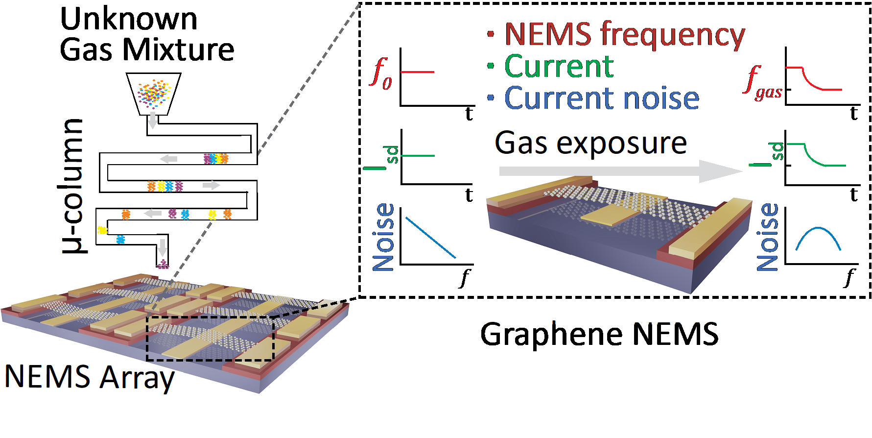 Graphgas concept