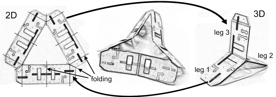 Folding design and assembly