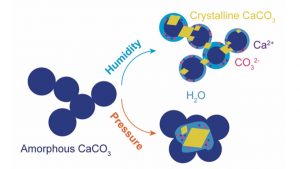 Influence of additives on the humidity- and pressure-induced crystallization of ACC
