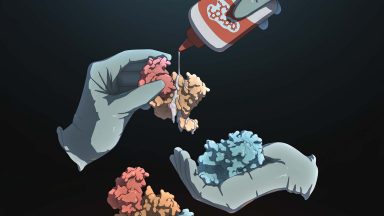 ubiquitin