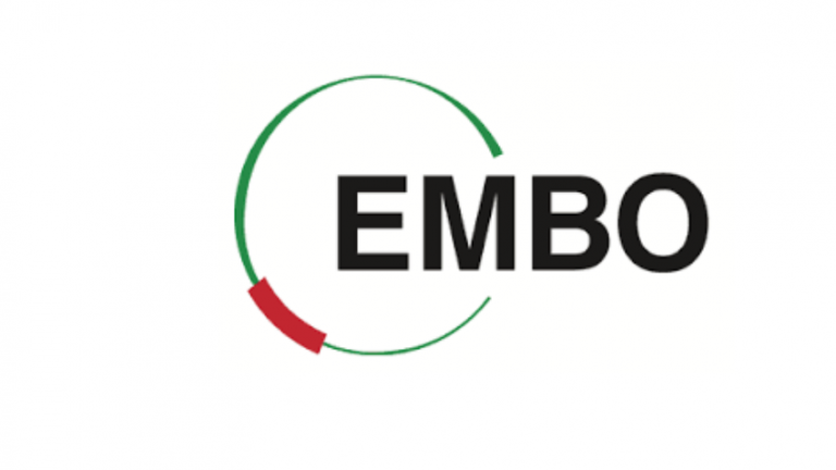 EMBO Logo | © EMBO