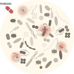 Antibiotic Resistance