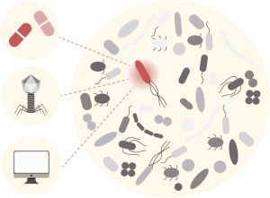 Treatment Design