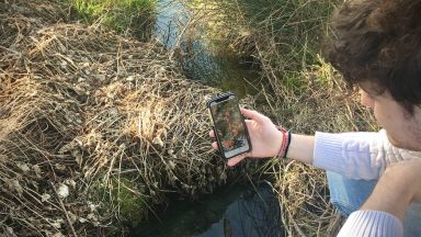 Using the TempAqua App for data collection in the field