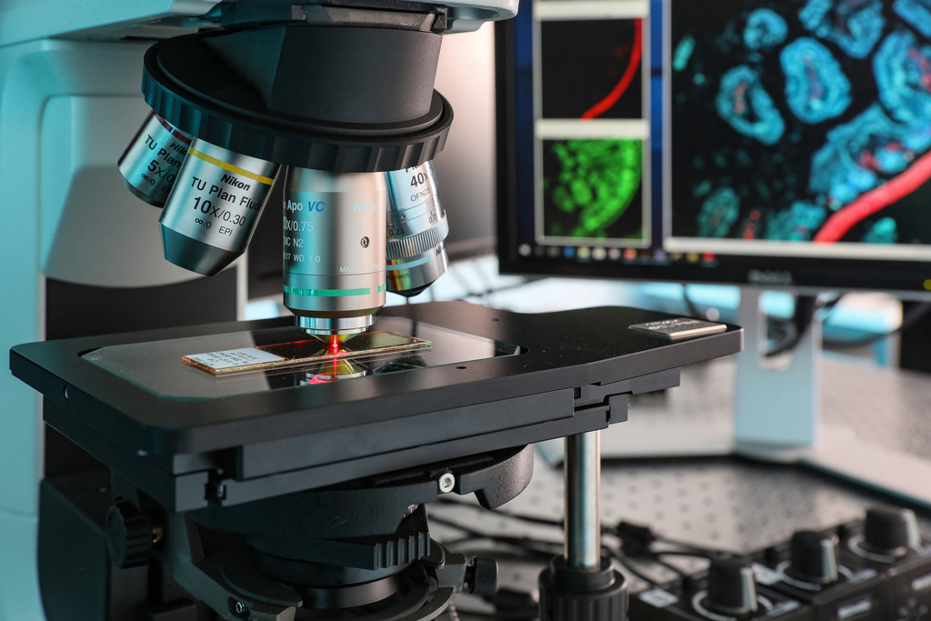 Des scientifiques de l’EPFL ont développé un nouveau type de lame pour la microscopie à fluorescence. Elles permettent d’augmenter jusqu’à 25 fois la quantité de lumière obtenue par rapport aux lames classiques. © Alain Herzog
