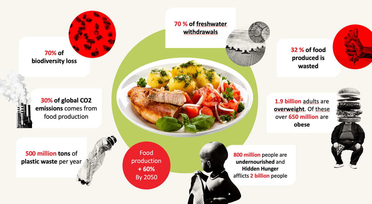 Our food systems have to change