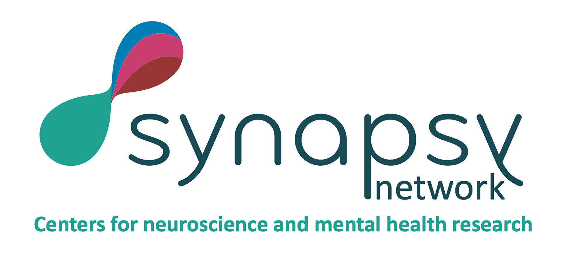 Synapsy Centres