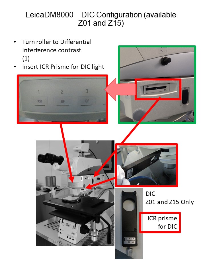 Differential Interferencial Contrast